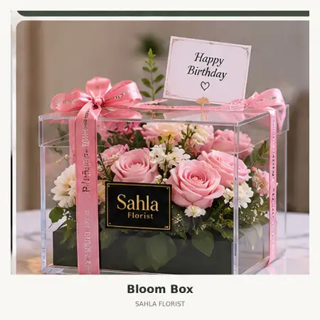 Bloom Box Seturan